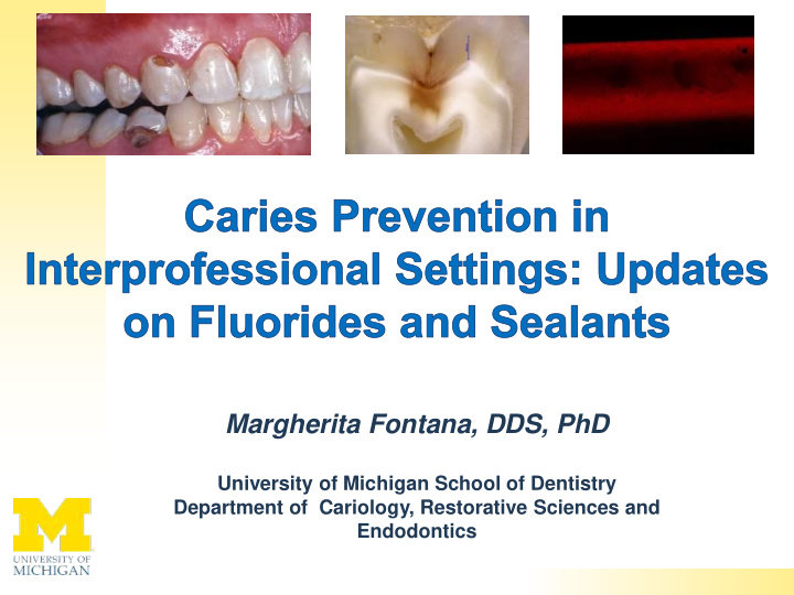 margherita fontana dds phd