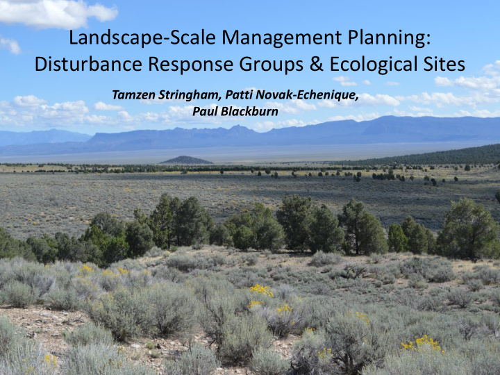 disturbance response groups ecological sites