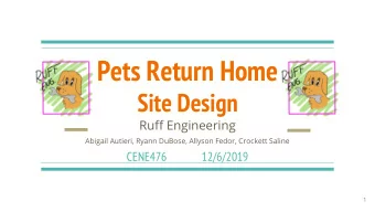 Pets Return Home  Site Design  Ruff Engineering  Abigail Autieri, Ryann DuBose, Allyson Fedor,