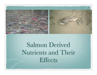 Salmon Derived  Nutrients and Their  Effects  Mid 1980s  believed salmon carcasses, particularly
