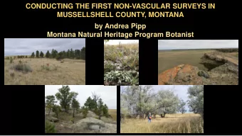CONDUCTING THE FIRST NON-VASCULAR SURVEYS IN  MUSSELLSHELL COUNTY, MONTANA  by Andrea Pipp  Montana