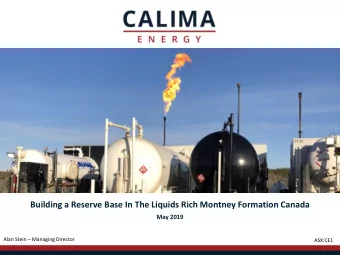 Building a Reserve Base In The Liquids Rich Montney Formation Canada  May 2019 Alan Stein
