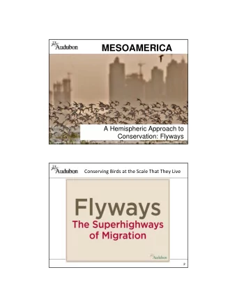 MESOAMERICA  A Hemispheric Approach to  Conservation: Flyways  1 Conserving Birds at the Scale That