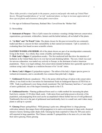 These slides provide a visual guide to the purpose, projects and people who make up United Plant