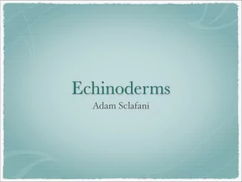 Echinoderms  Adam Sclafani  What are they?  They are a type of marine animal that is found in most