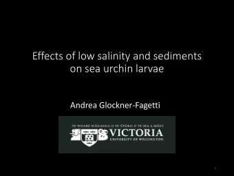 on sea urchin larvae  Andrea Glockner-Fagetti  1  What we do at  Victoria University Coastal