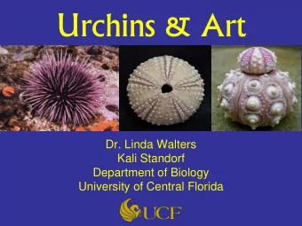 Urchins &amp; Art  Dr. Linda Walters  Kali Standorf  Department of Biology  University of Central