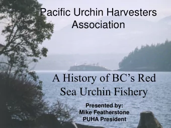 A History of BCs Red  Sea Urchin Fishery  Presented by:  Mike Featherstone  PUHA President  3