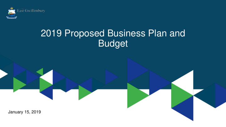 2019 proposed business plan and budget