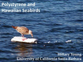 Polystyrene and  Hawaiian Seabirds  Hillary Young  University of California Santa Barbara  Hawaiian