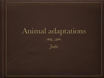 Animal adaptations  Jada  What are adaptations  Adaptations help animal  It help animal get