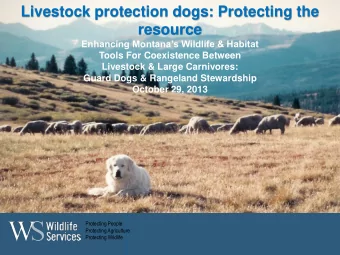 resource Enhancing Montanas Wildlife &amp; Habitat  Tools For Coexistence Between  Livestock