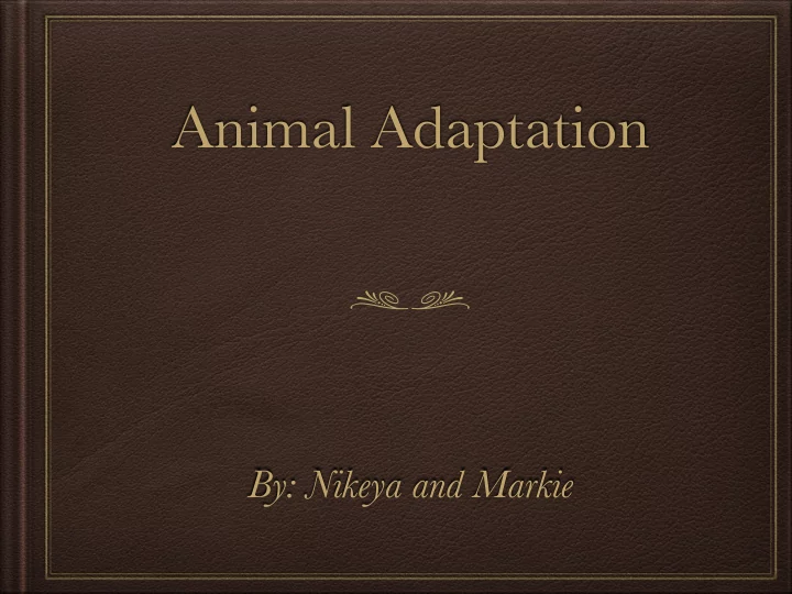 animal adaptation