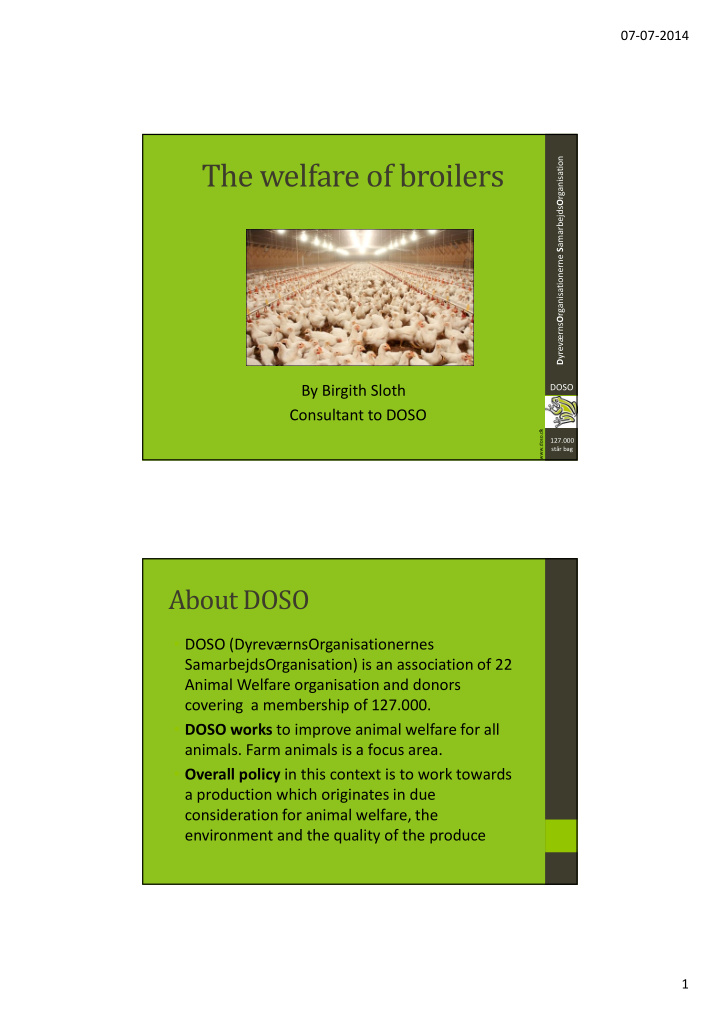 the welfare of broilers