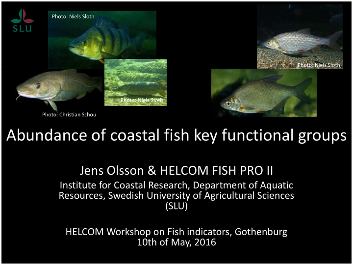 abundance of coastal fish key functional groups