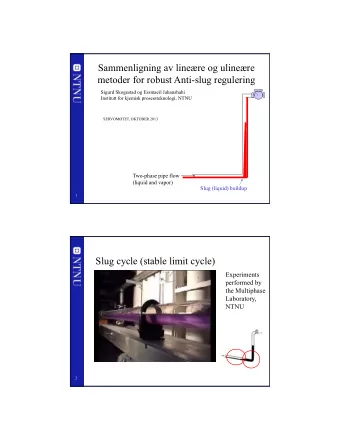 Sammenligning av linere og ulinere  metoder for robust Anti-slug regulering  Sigurd Skogestad