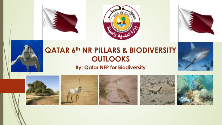 qatar 6 th nr pillars biodiversity outlooks