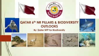 QATAR 6 th NR PILLARS &amp; BIODIVERSITY  OUTLOOKS  By: Qatar NFP for Biodiversity  Status of Qatar