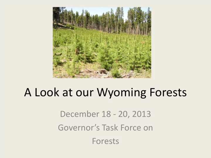 a look at our wyoming forests