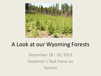 A Look at our Wyoming Forests  December 18 - 20, 2013  Governors Task Force on  Forests  Forests
