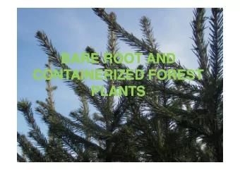 BARE ROOT AND  BARE ROOT AND  CONTAINERIZED FOREST  CONTAINERIZED FOREST  PLANTS  PLANTS  PLANTS