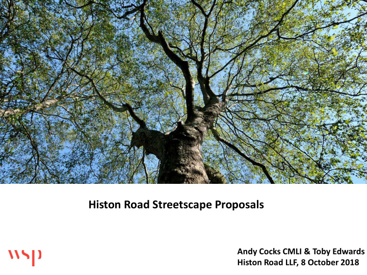 histon road streetscape proposals