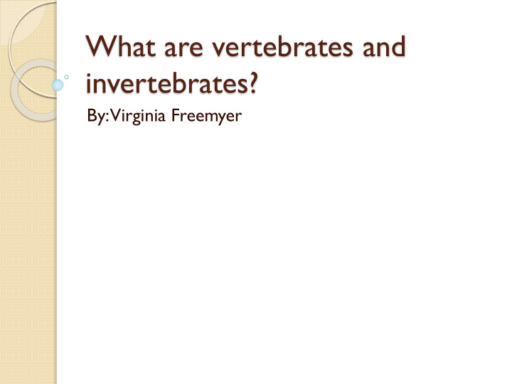 invertebrates