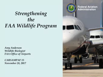 Strengthening  the  FAA Wildlife Program  Amy Anderson  Wildlife Biologist  FAA Office of Airports