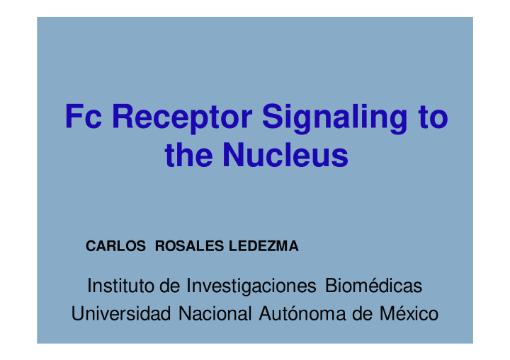 fc receptor signaling to the nucleus
