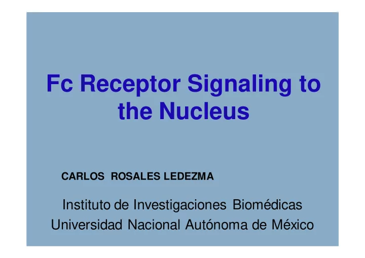 fc receptor signaling to the nucleus