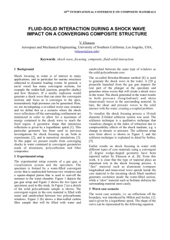 FLUID-SOLID INTERACTION DURING A SHOCK WAVE  IMPACT ON A CONVERGING COMPOSITE STRUCTURE  V.