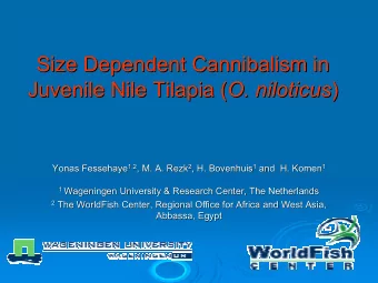Size Dependent Cannibalism in  Size Dependent Cannibalism in Juvenile Nile Tilapia ( O. niloticus