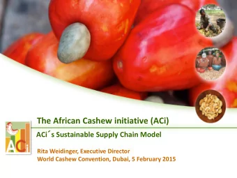 The African Cashew initiative (ACi) ACi  s Sustainable Supply Chain Model  Rita Weidinger,