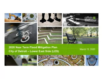 2020 Near Term Flood Mitigation Plan  March 13, 2020  City of Detroit  Lower East Side (LES)