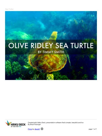 Sea Turtles  Created with Haiku Deck, presentation software that's simple, beautiful and fun.  By