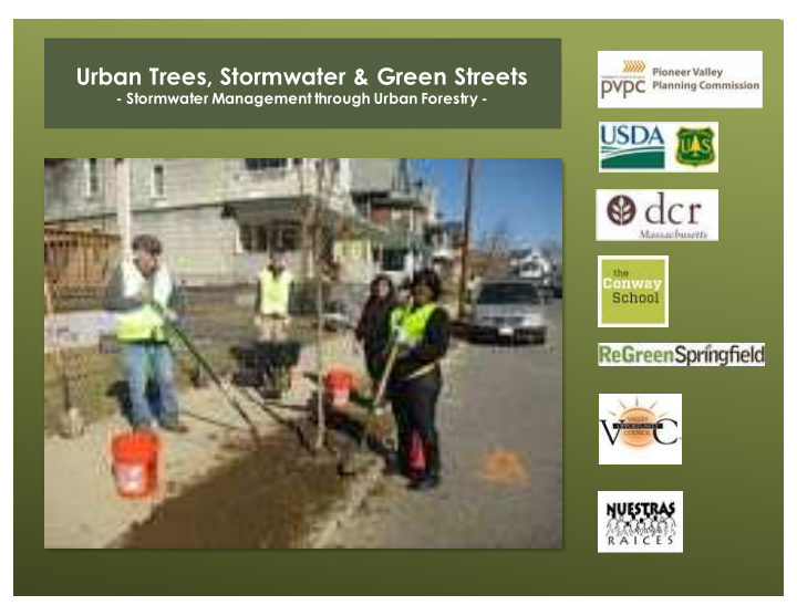 urban trees stormwater green streets