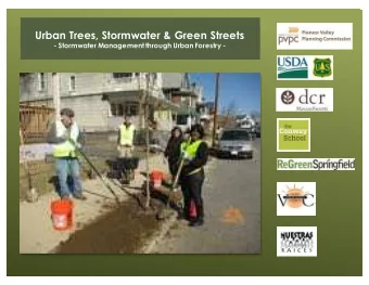 Urban Trees, Stormwater &amp; Green Streets  - Stormwater Management through Urban Forestry -