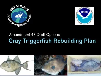 Amendment 46 Draft Options  A rebuilding plan was established by the  Council in 2013 which