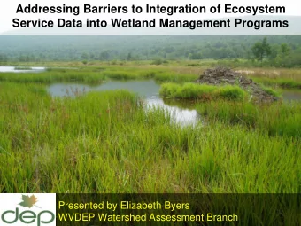 Addressing Barriers to Integration of Ecosystem  Service Data into Wetland Management Programs
