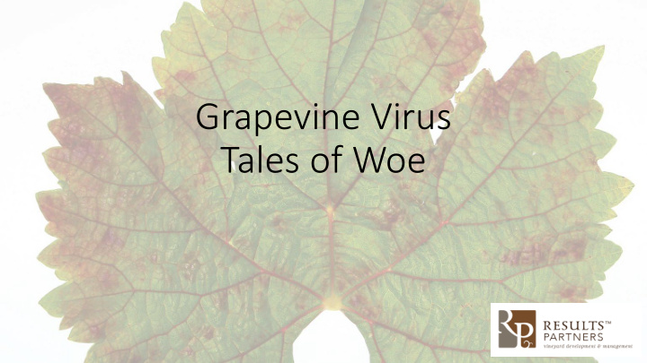 grapevine virus tales of woe not just one tale