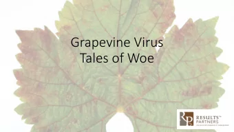 Grapevine Virus  Tales of Woe  Not Just One Tale  11% of all vineyards have at least one block with
