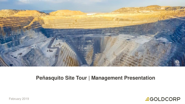 pe asquito site tour management presentation