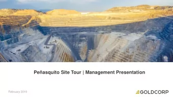 Peasquito Site Tour | Management Presentation  February 2019  Forward-Looking Statements This