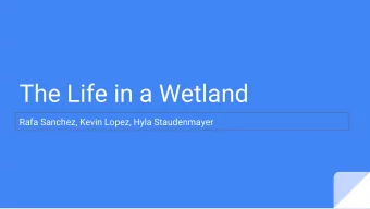 The Life in a Wetland  Rafa Sanchez, Kevin Lopez, Hyla Staudenmayer  Introduction  We went to