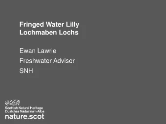 Fringed Water Lilly  Lochmaben Lochs  Ewan Lawrie  Freshwater Advisor  SNH  Lochmaben  Mill Loch