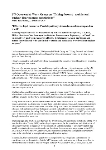 UN Open-ended Work Group on &quot;Taking forward  multilateral  nuclear disarmament