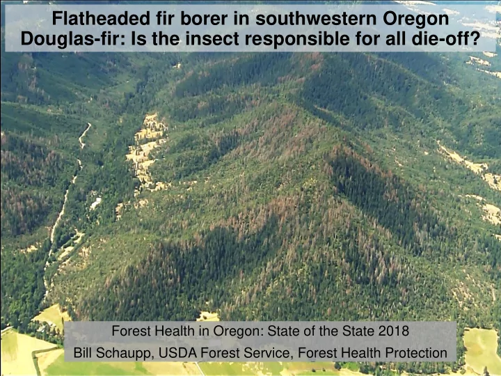 douglas fir is the insect responsible for all die off