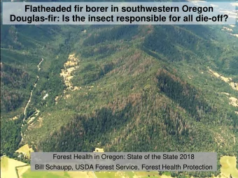 Douglas-fir: Is the insect responsible for all die-off?  Forest Health in Oregon: State of the