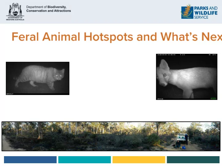 so what is a feral predator hotspot
