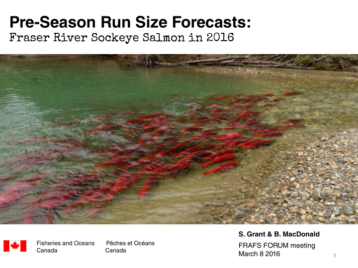 pre season run size forecasts